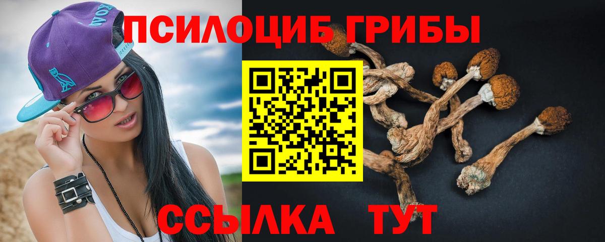 Псилоцибиновые грибы Psilocybe  Вход с VPN  Электрогорск 